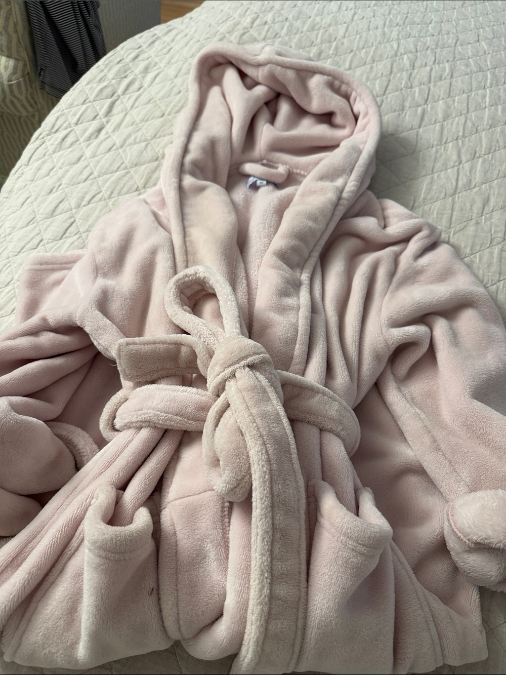 Cozy Hooded Plush Robe - Blush Pink
